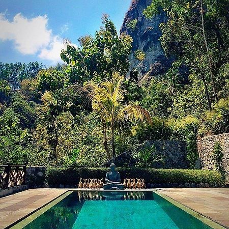 Villa Borobudur Resort Маґеланґ Екстер'єр фото